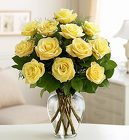 Long Stem Yellow Roses